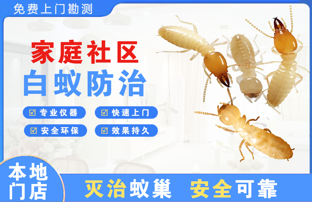 黔东南家庭社区白蚁防治