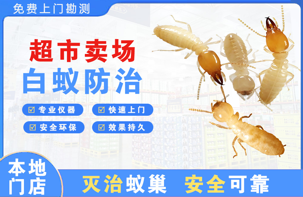 黔东南超市卖场白蚁防治