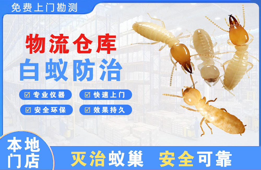 黔东南物流仓库白蚁防治