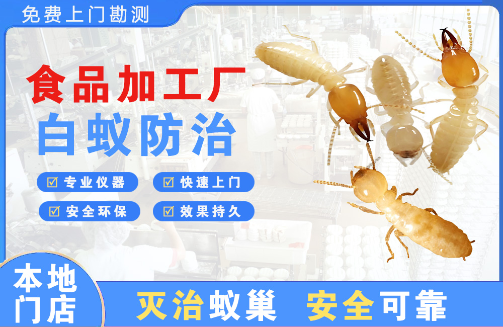 黔东南食品加工厂白蚁防治