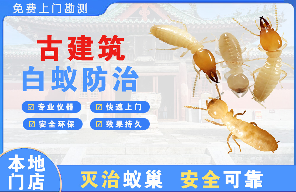 黔东南古建筑白蚁防治