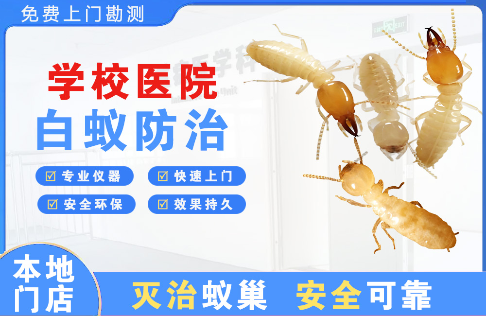 黔东南学校医院白蚁防治