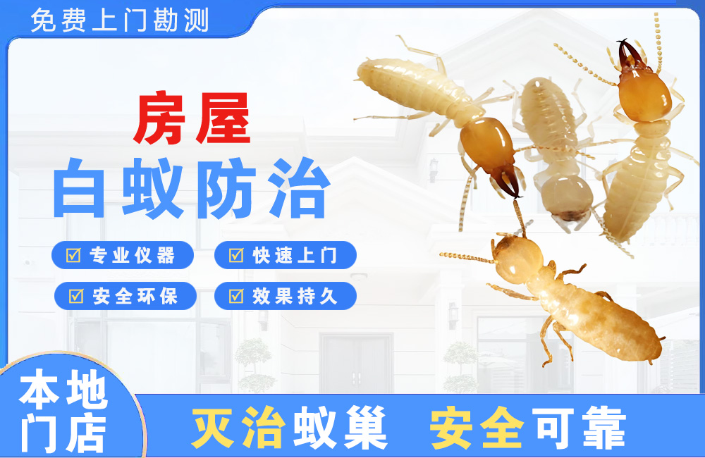 黔东南房屋白蚁防治