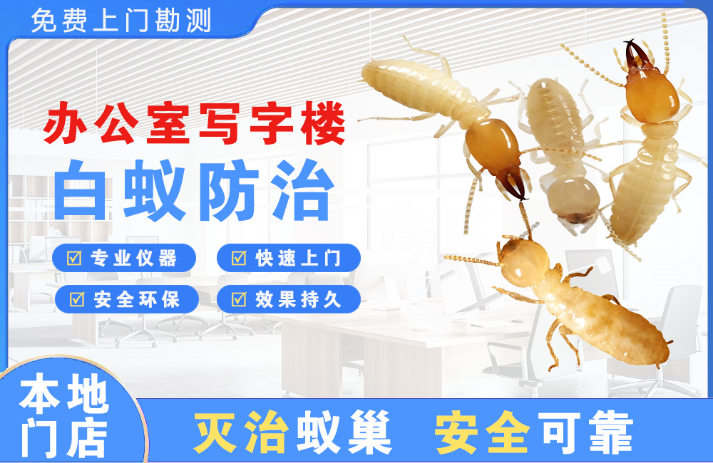 黔东南办公室写字楼白蚁防治